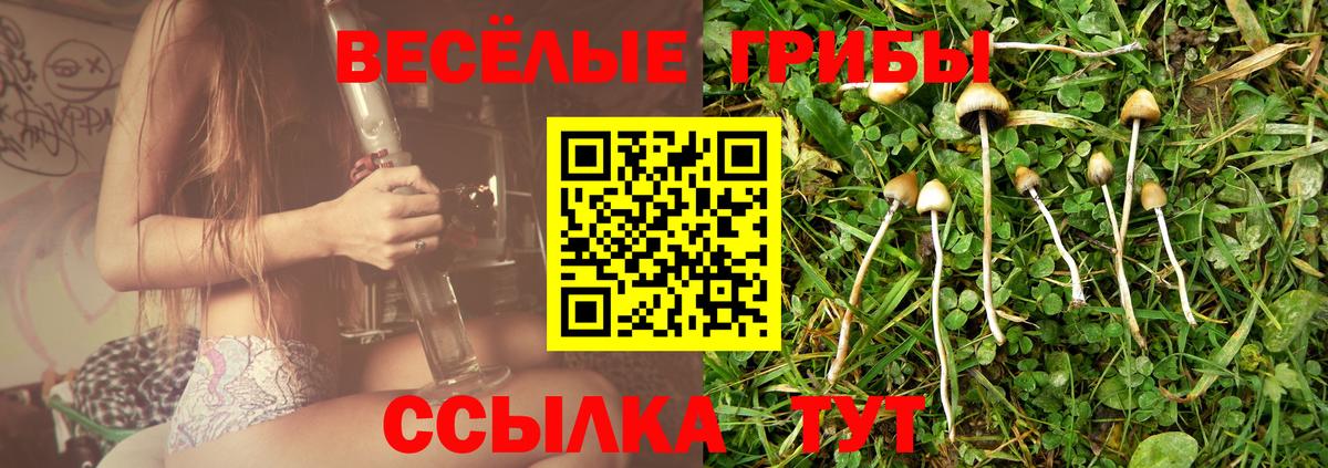Еманжелинск  цены   Вход с VPN  Псилоцибиновые грибы Psilocybe 