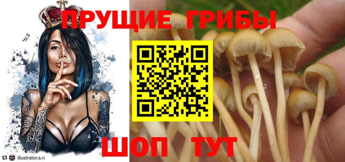 Псилоцибиновые грибы GOLDEN TEACHER Еманжелинск